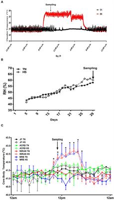 Intestinal Barrier Integrity in Heat-Stressed Modern Broilers and Their Ancestor Wild Jungle Fowl